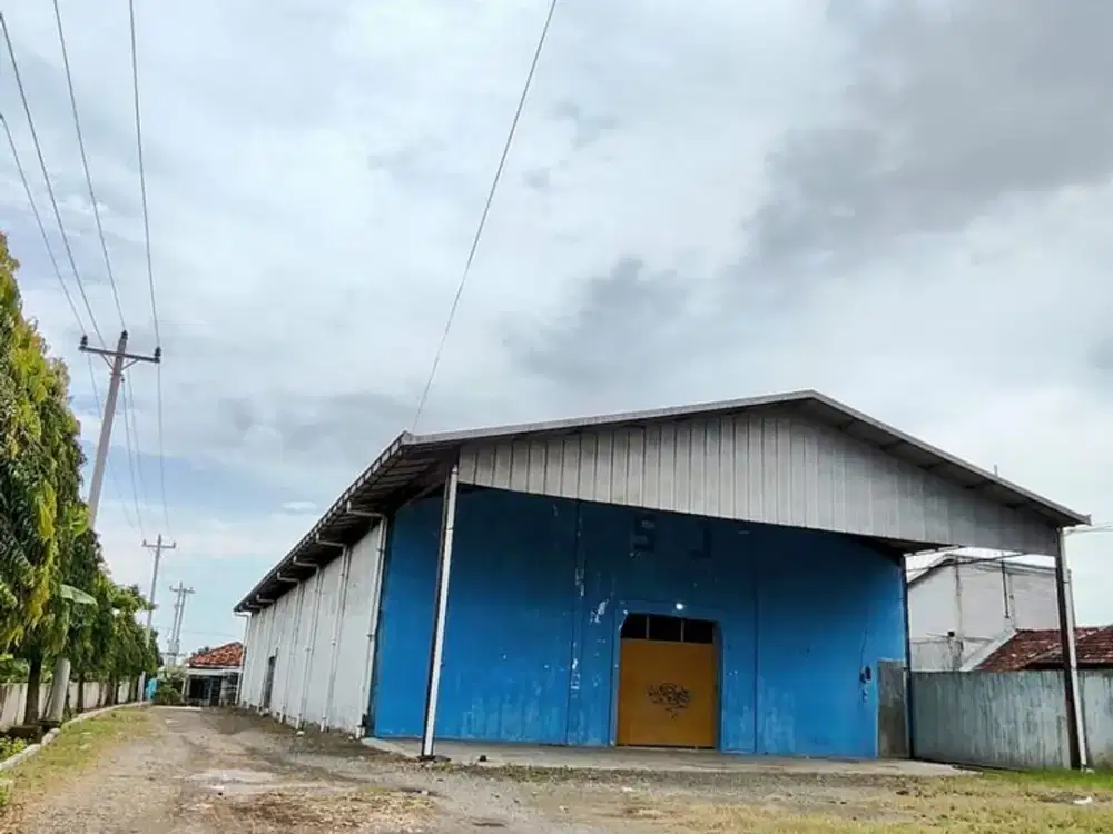 Tanah Cantik 3,2 Ha dan Bangunan Dijual di Pantura Demak, Semarang