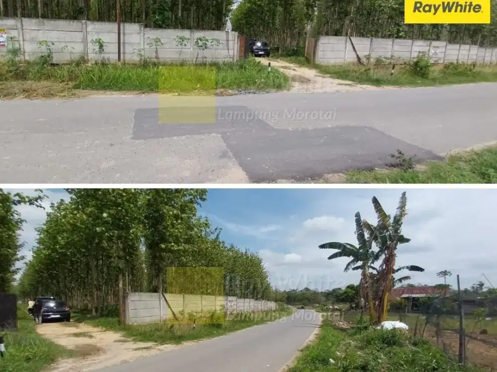 Dijual Tanah Di Tanjung Bintang, Lampung Selatan (Kode CC-MEL 3610)