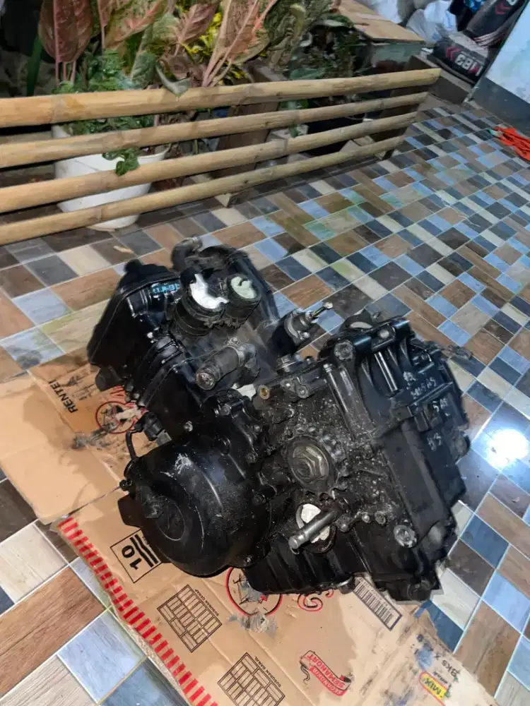 Mesin ninja 250 karbu 2 silinder