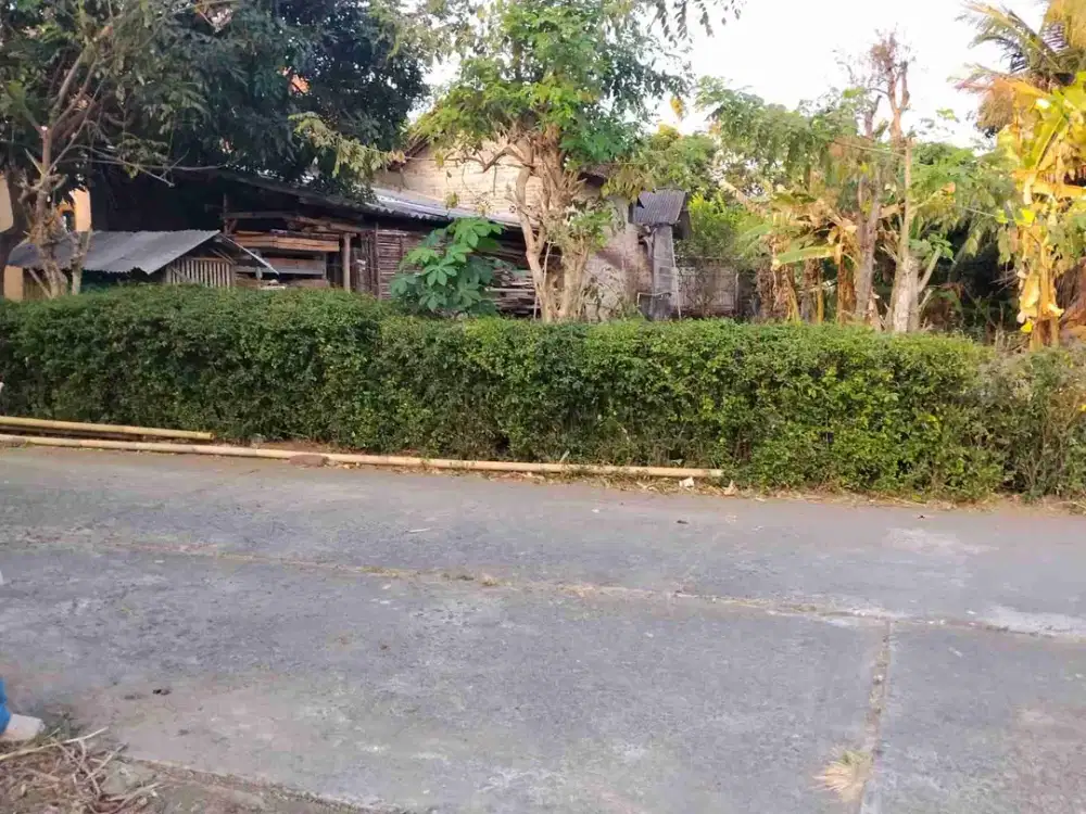 Tanah Super Bantul Dekat Pasar Celeb - Sm