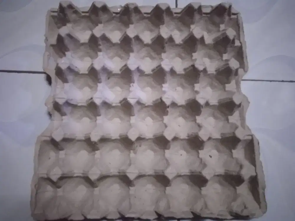 Tray tempat telur