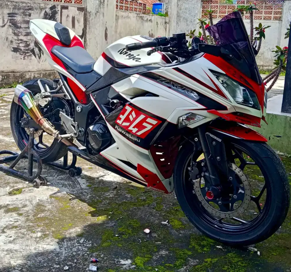Ninja 250 cc k9mplit