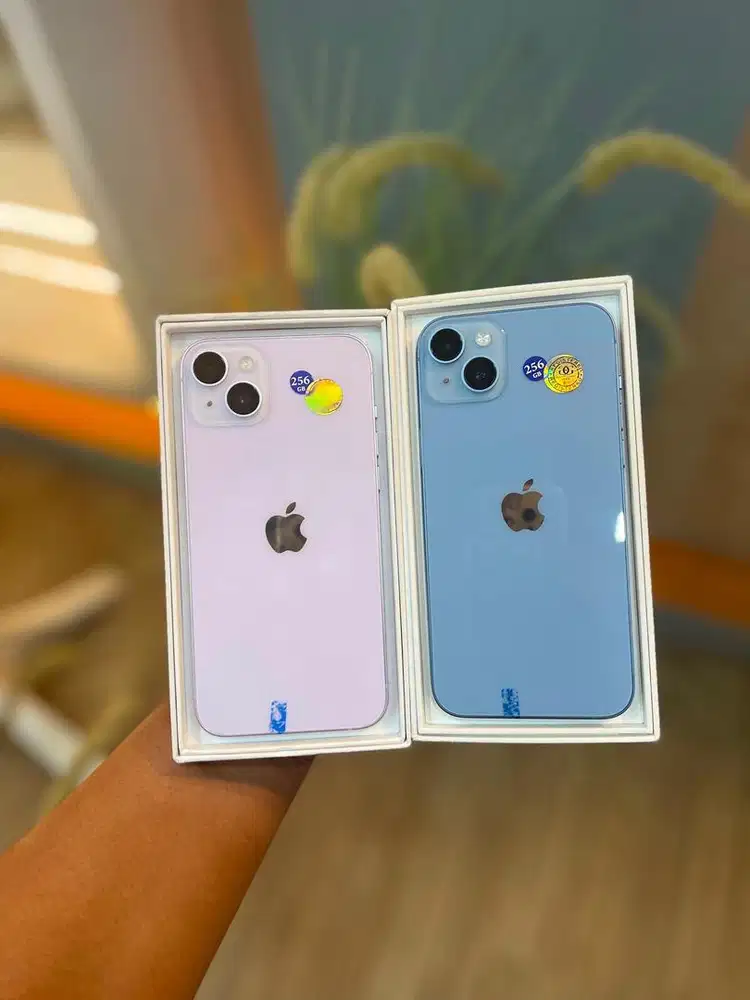 14 Plus 256gb Beacukai