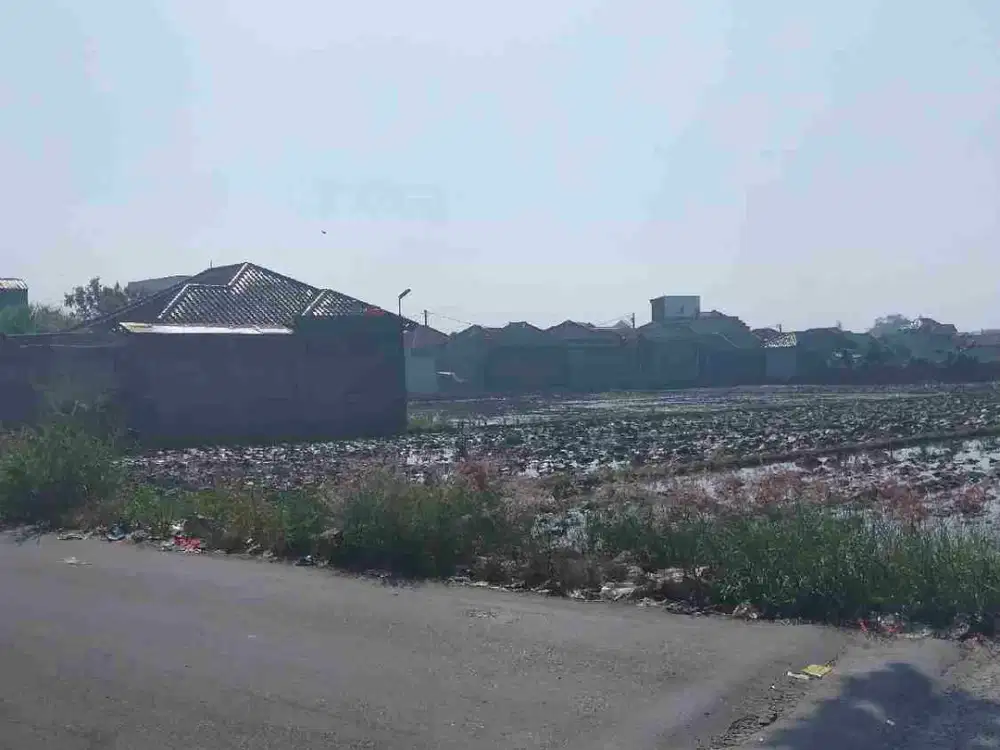 hanya 1,9jt/mtr tanah  Ranca Mulya pameungpeuk bandung