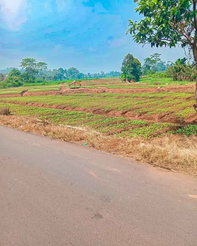 JUAL TANAH VIEW BAGUS AREA CIMAUNG