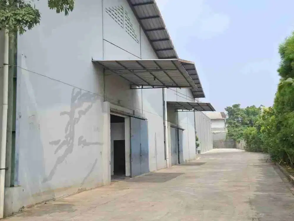 Di sewakan Gudang kapuk muara