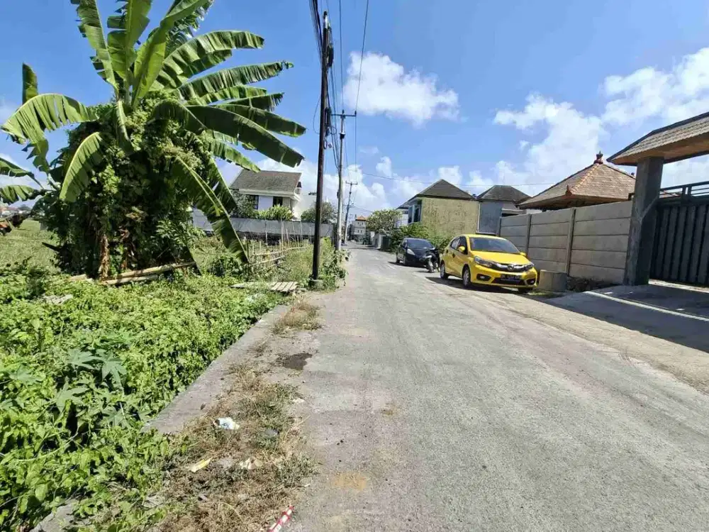 Tanah kosong jalan Tukad Badung XXIX Renon cocok untuk unian masuk 50 meter dari jalan utama
