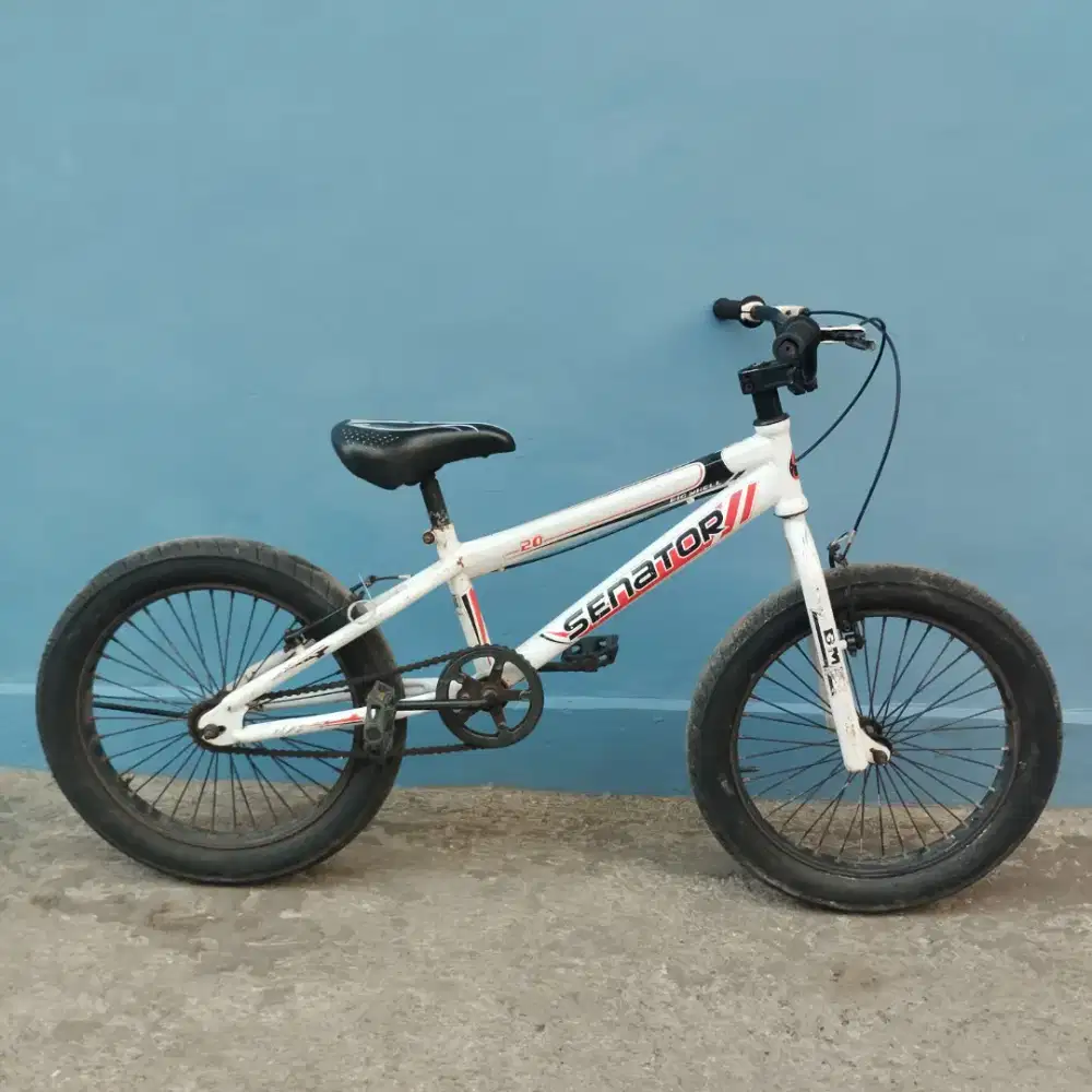 Sepeda bmx anak, sepeda ukuran 20