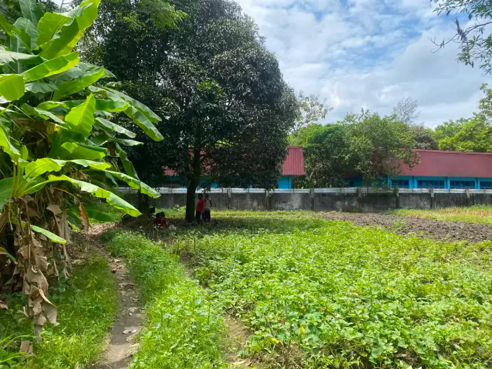 Jual tanah darat .