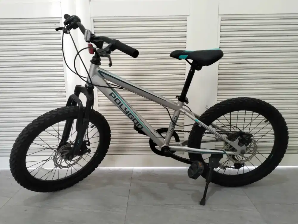 Sepeda Polygon M20