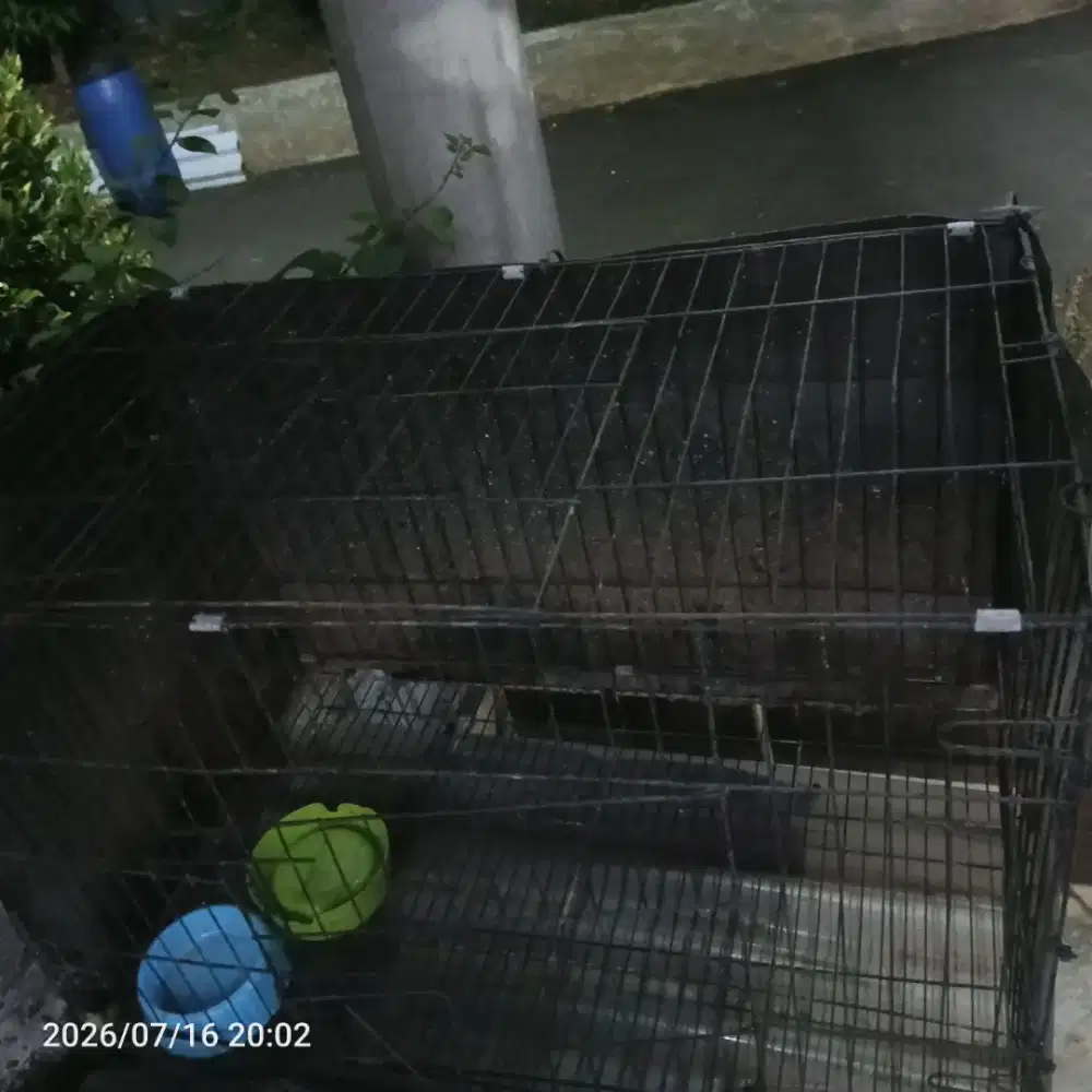 JUAL MURAH KANDANG KUCING , KELINCI, MUSANG DAN SEJENISNYA