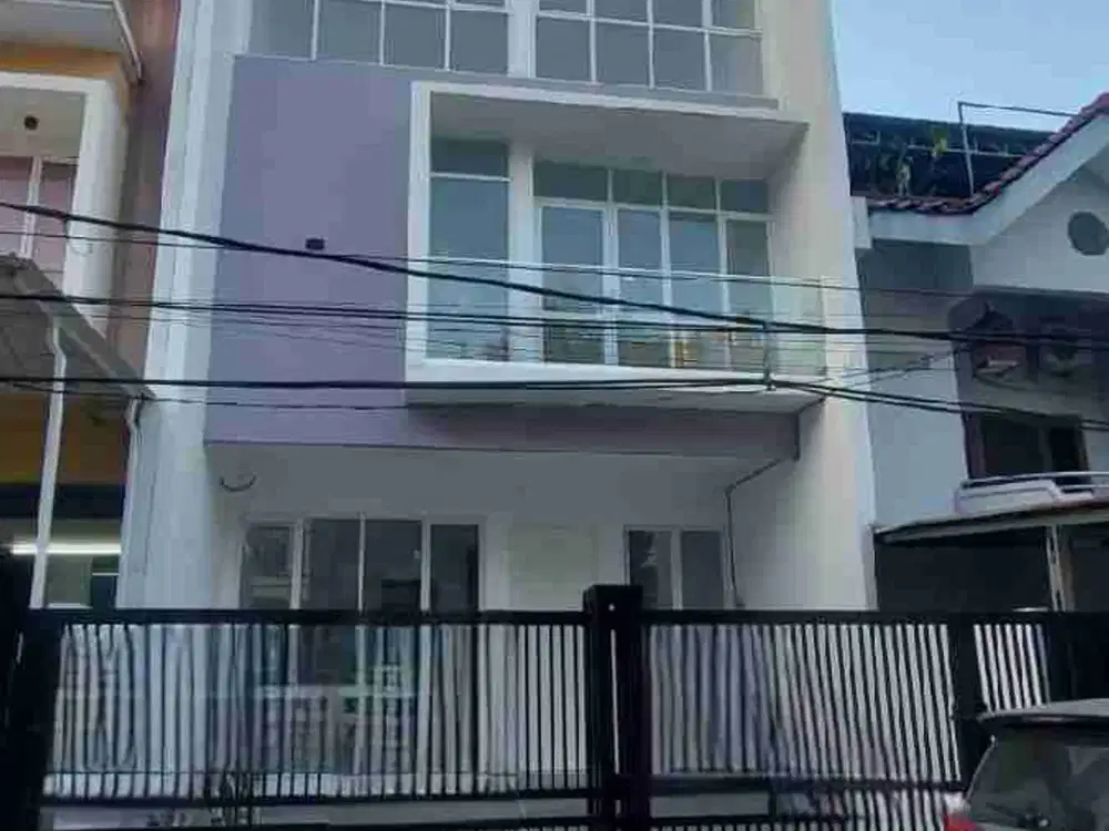 Brand New Kelapa Hibrida Kelapa Gading