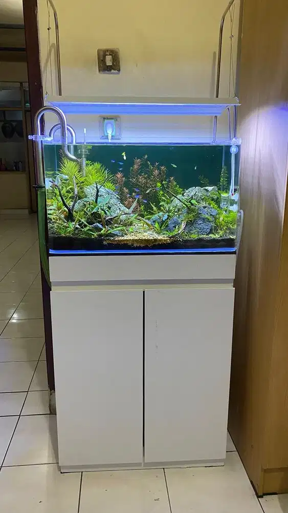 AQUASCAPE FULLSET MEDIUM UK. 60 x 30