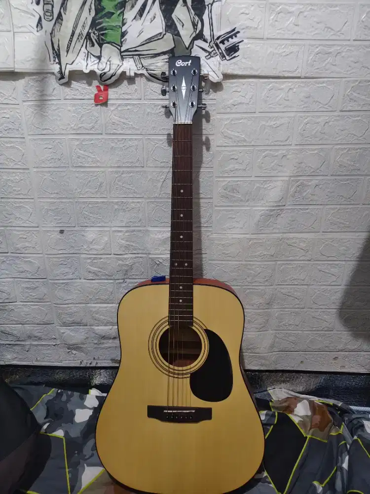 Gitar Cort Akustik