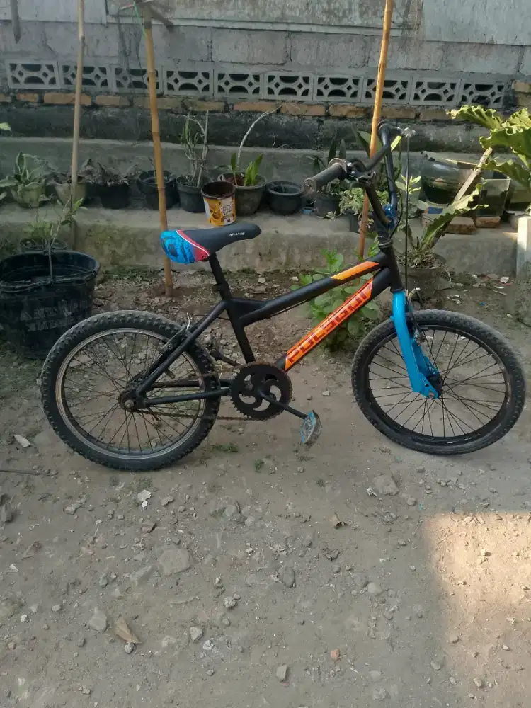 BMX 20 decal poligon