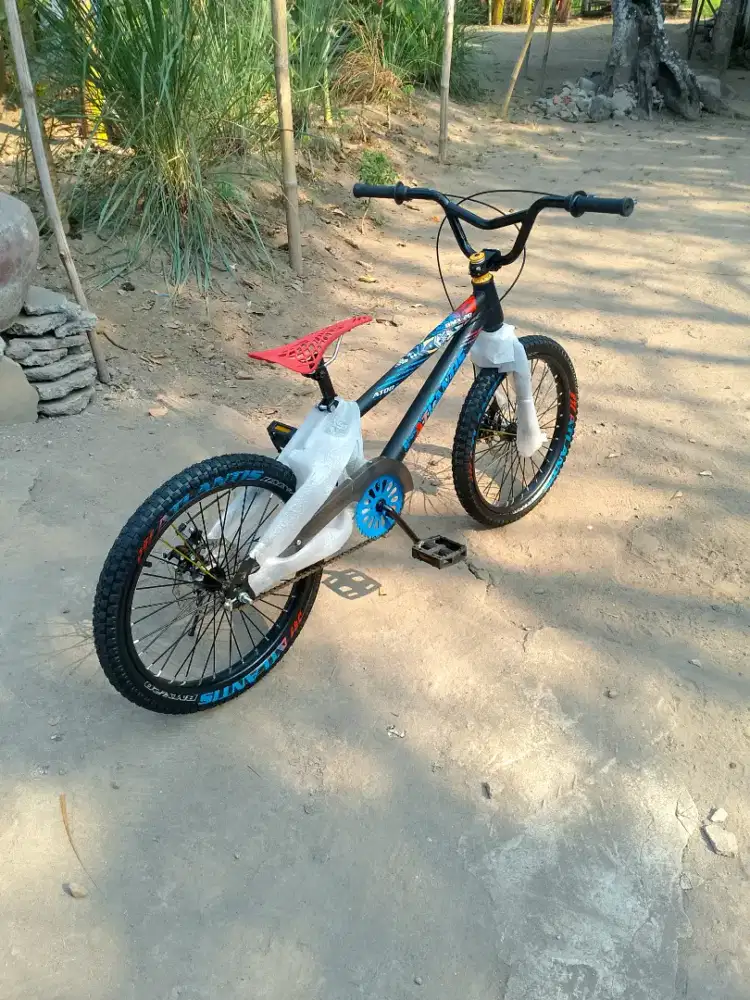 BMX 20 inc Rem Dobel cakram modif