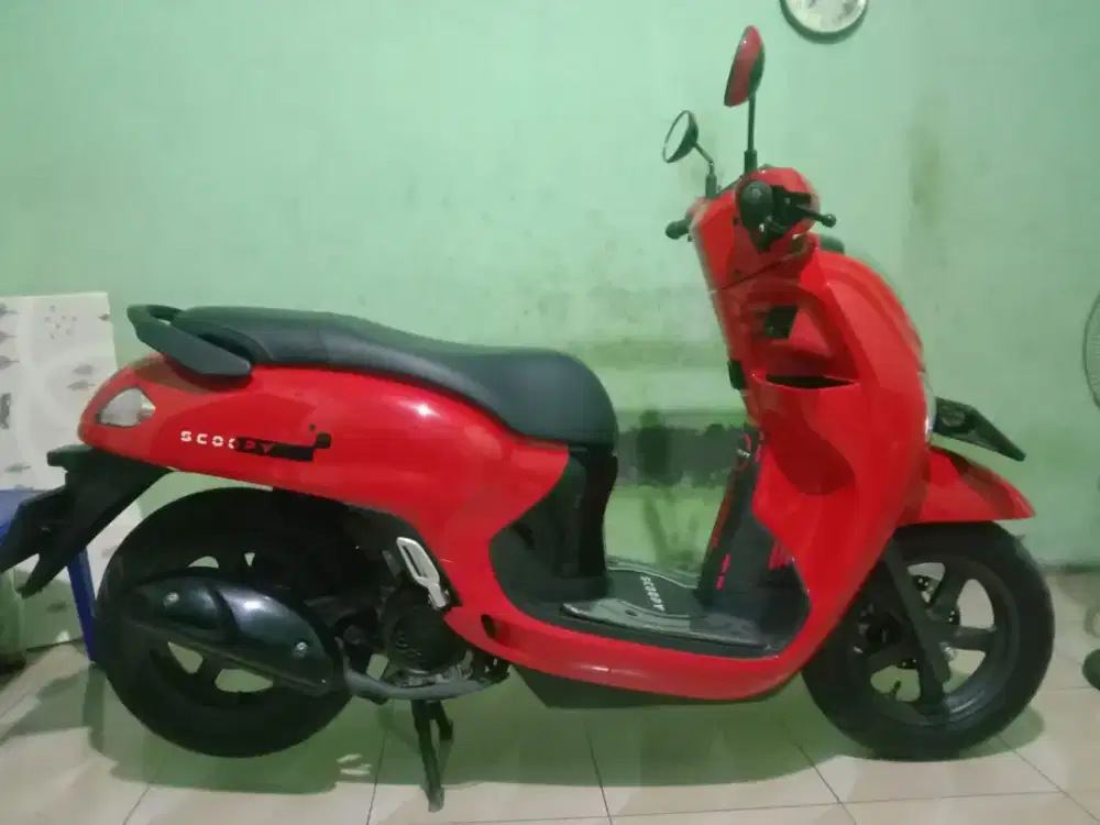 scoopy fashion 2026