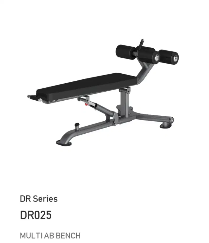MULTI AB BENCH INSIGHT IMPORT DR025