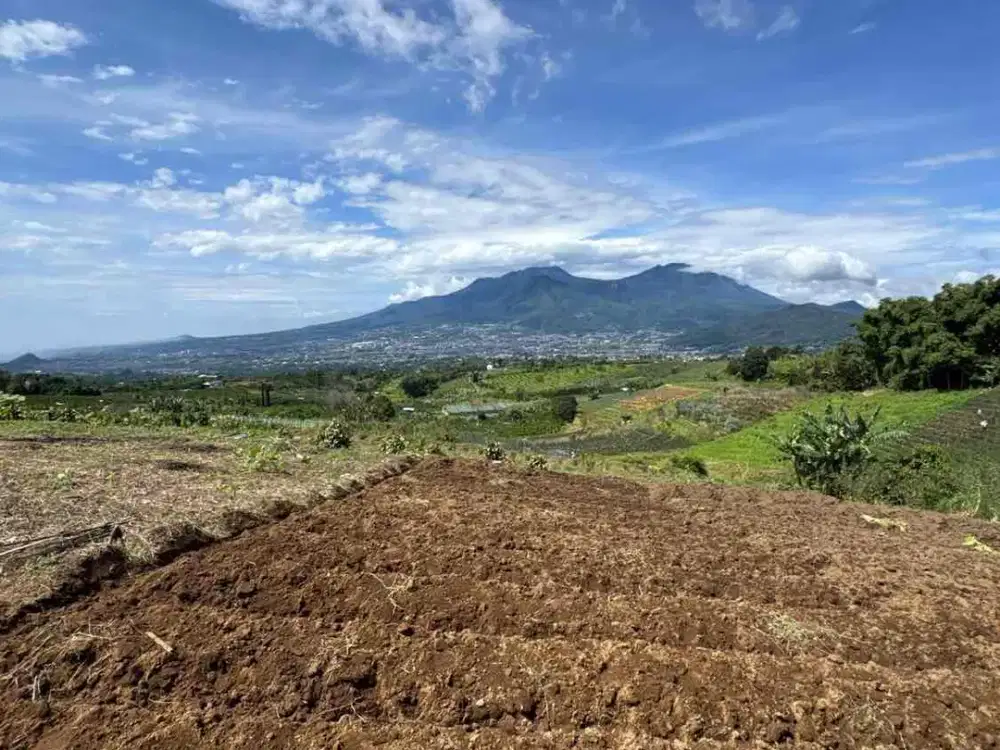 DIJUAL TANAH MURAH DI BAWAH 600JT , VIEW GUNUNG PANDERMAN – KOTA BATU