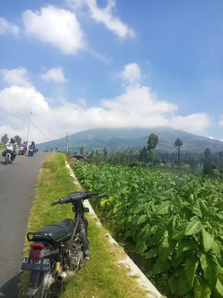 info lowongan kerja