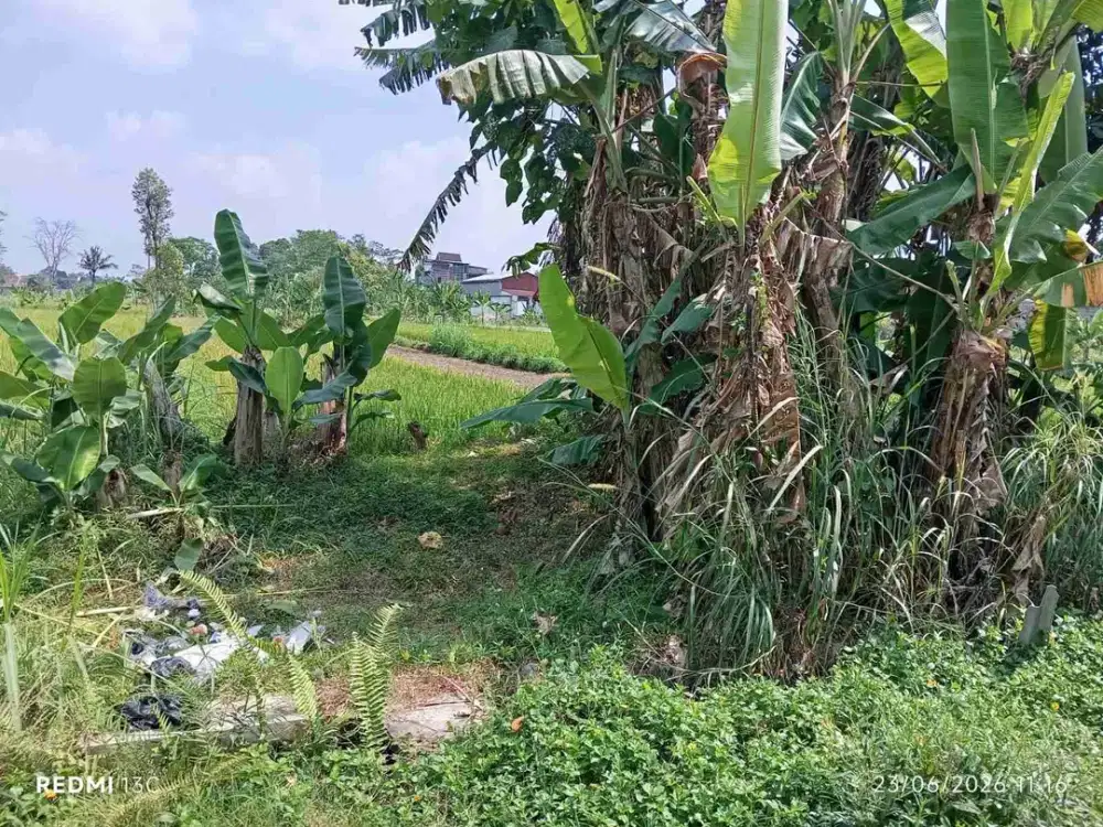 Disewakan Tanah 280m Wedomartani