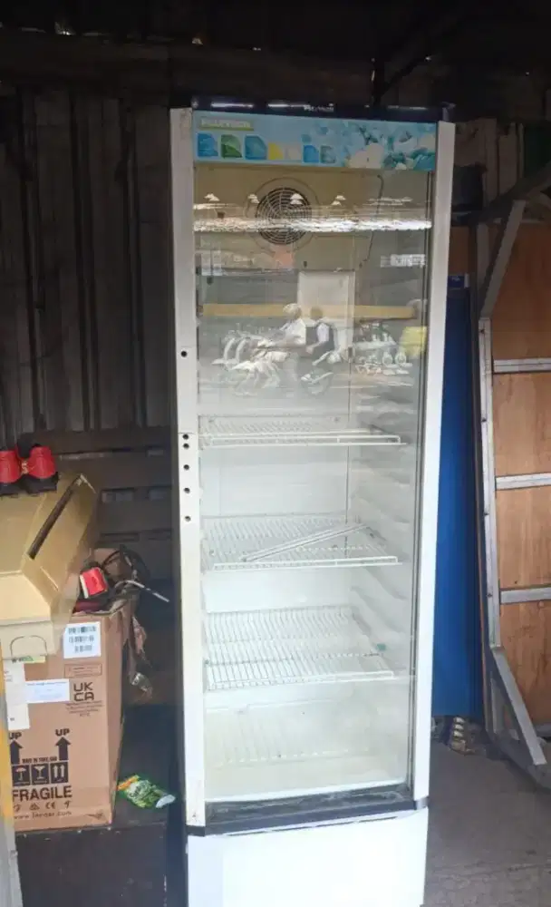 Freezer showcase ready