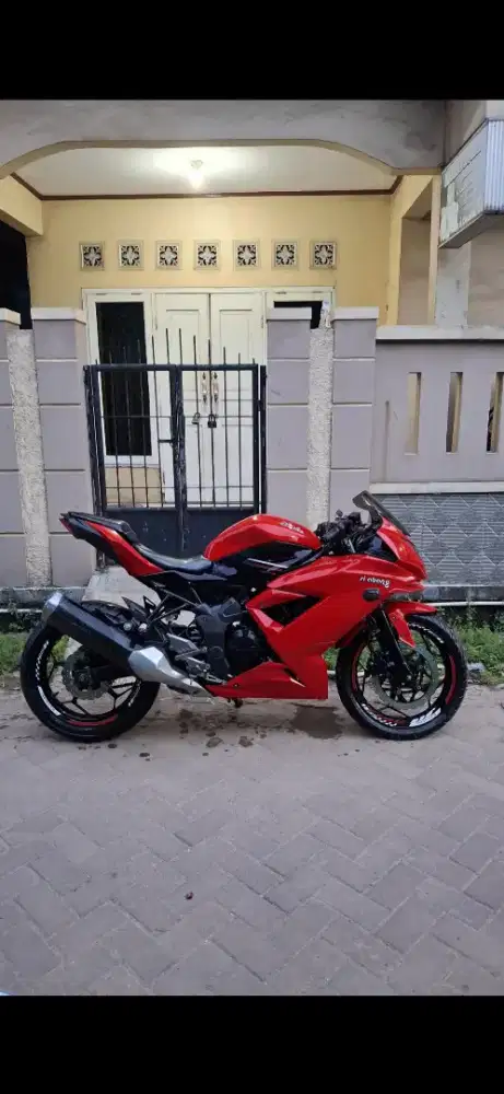 Ninja 250rr mono