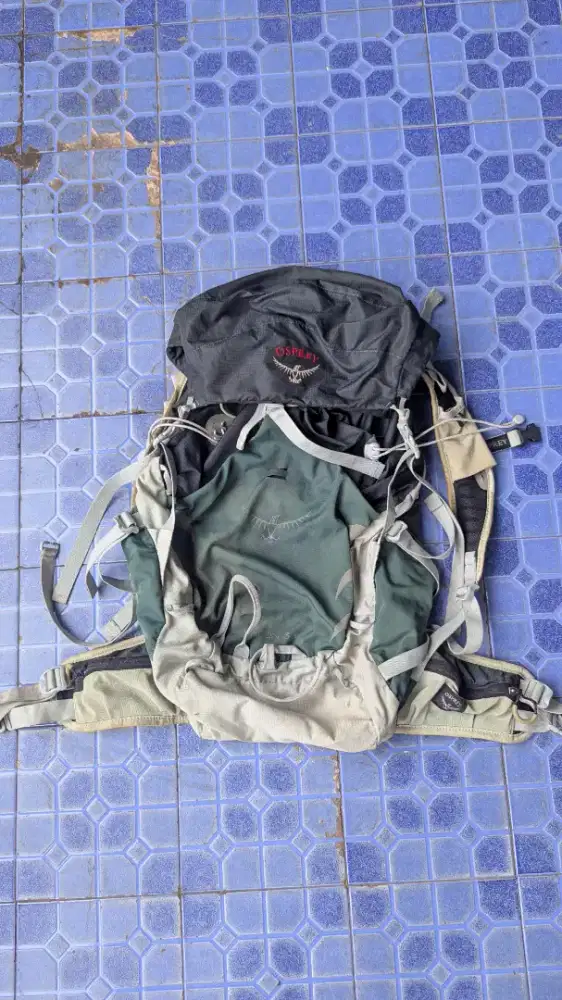 Carrier Osprey Talon 33L
