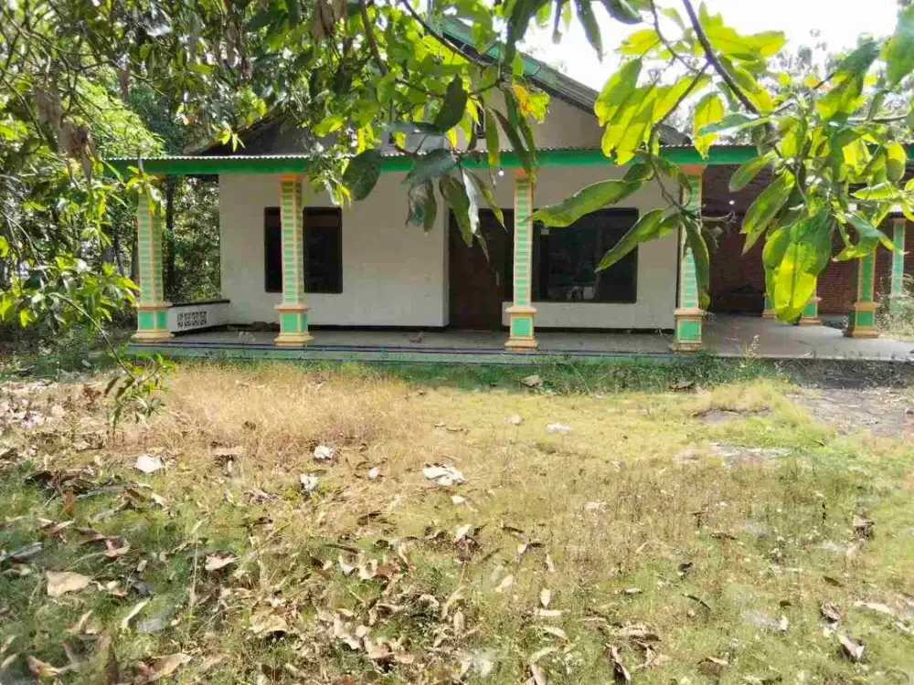 Rumah Murah Banget masih terawat dengan Halaman Luas cocok untuk slow living di Solo Raya