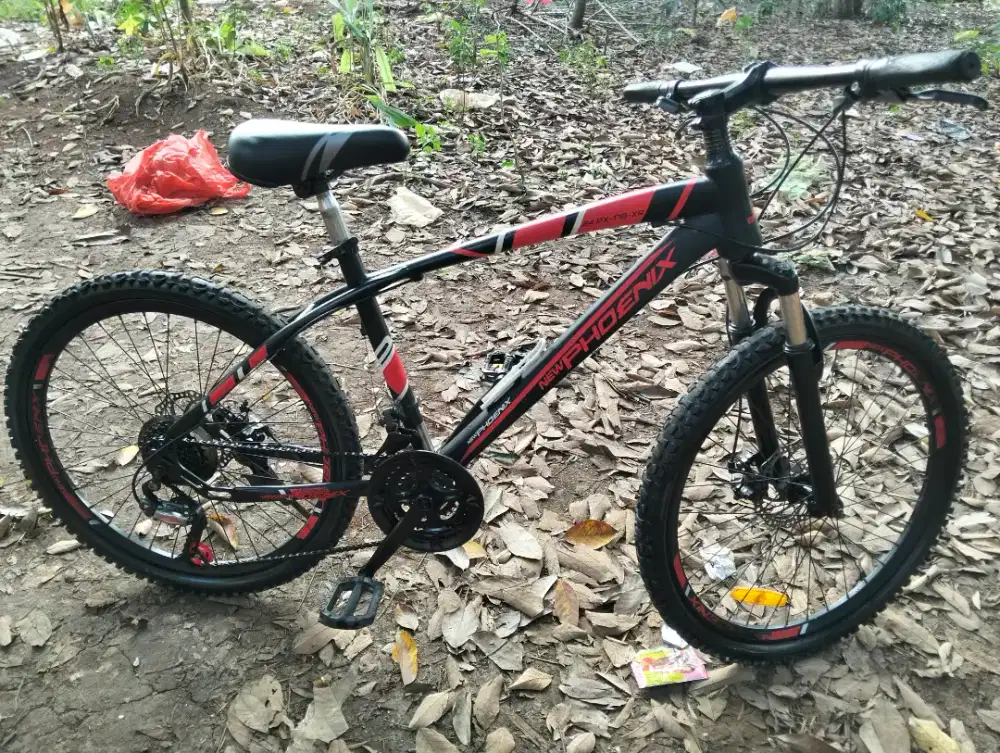 Jual mtb Phoenix UK 24 in