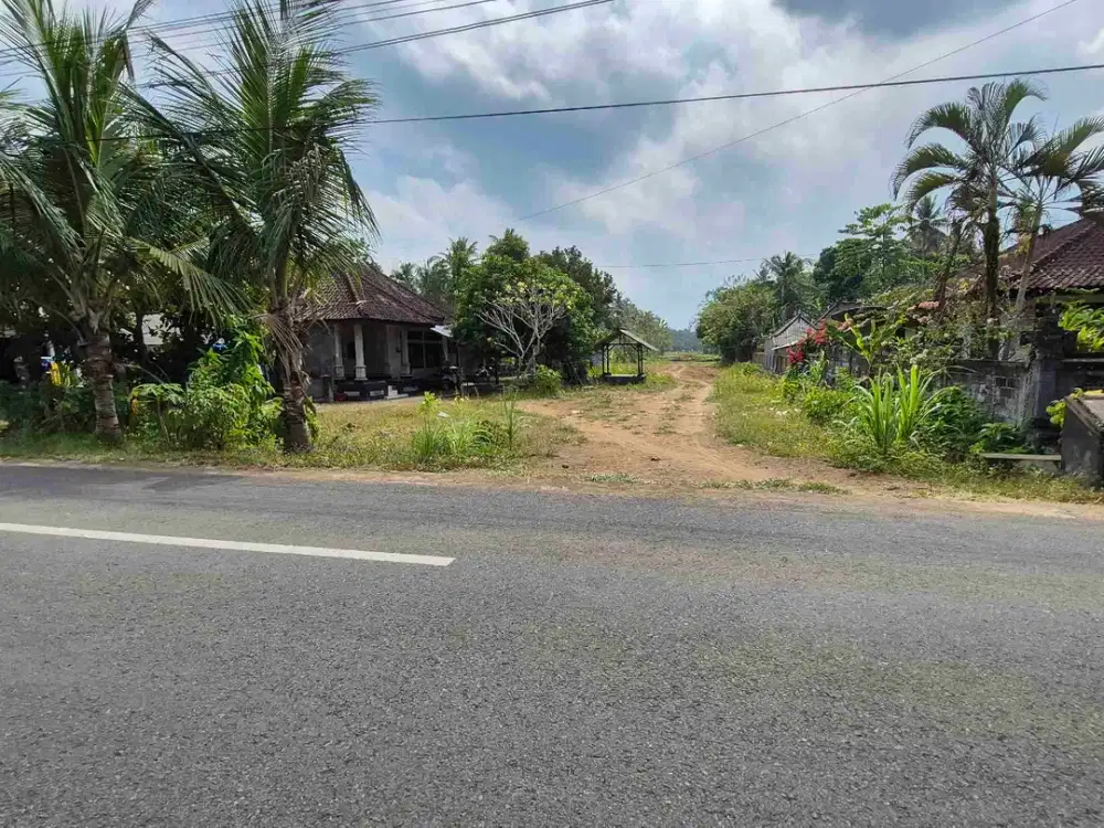 TANAH PINGGIR JALAN 70 ARE DI DESA BALUK JEMBRANA