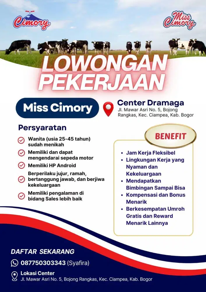 Dibutuhkan Segera Miss Cimory