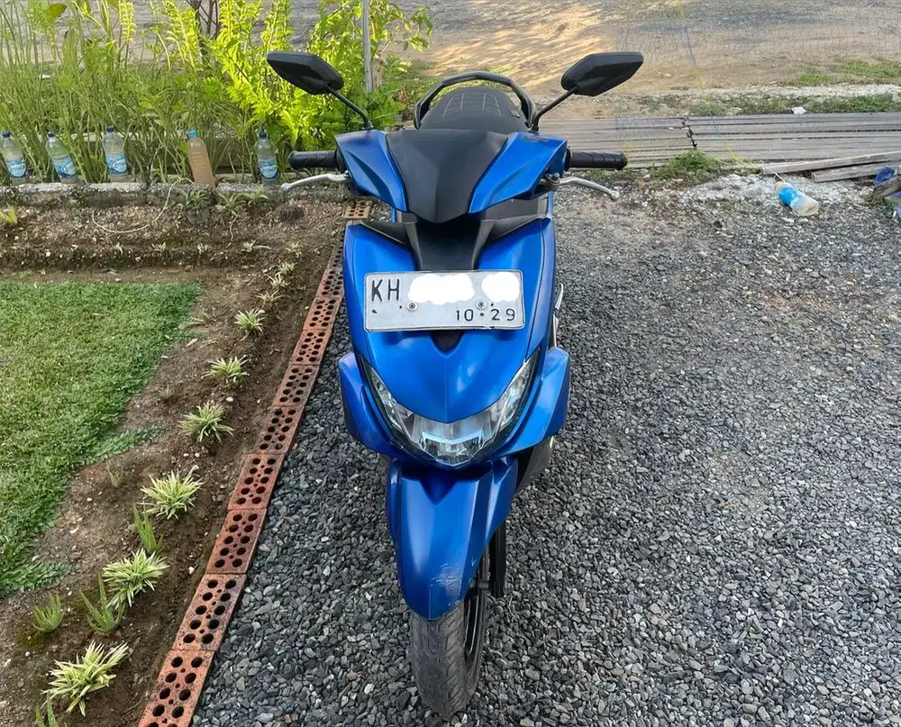 freego tahun 2019