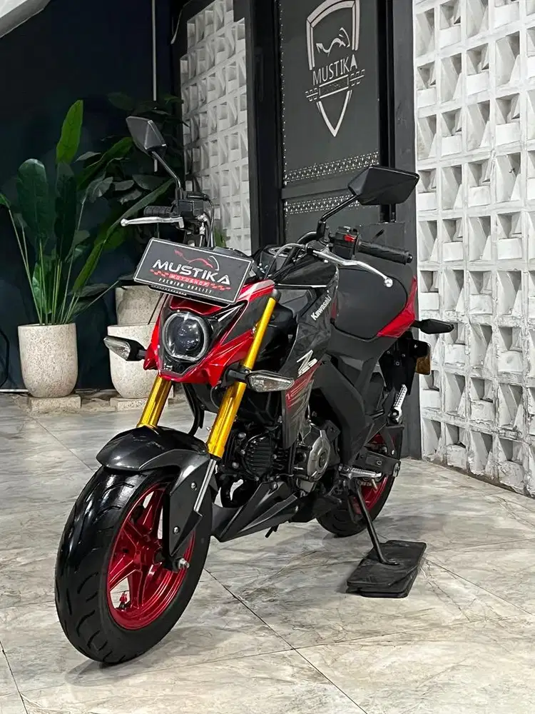 Istimewa!!Kawasaki Z125 th 2018 - Ayu Mustika