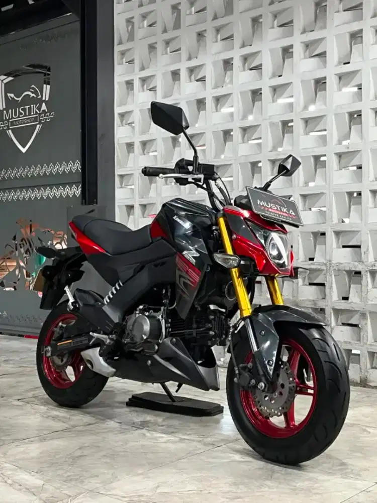 KAWASAKI Z125 2018 - Chintia Mustika