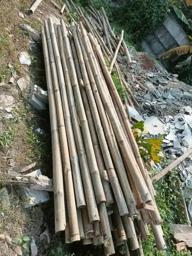 Bambu bekas 3 meteran