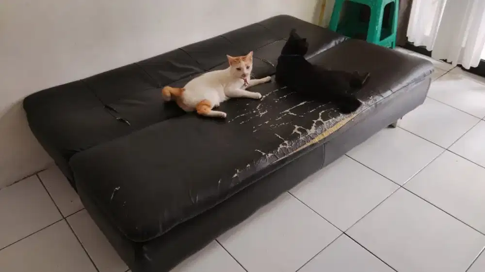 Sofa Bed Preloved murah