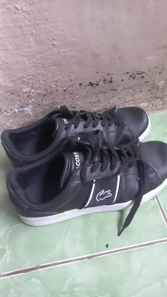 Sepatu Carnaby Lacoste