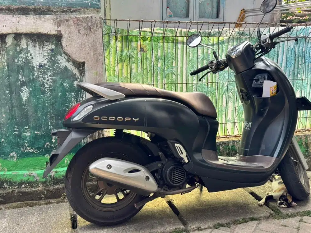 Scoopy 2024 prestige