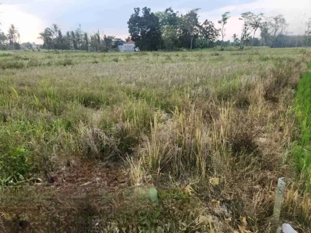 tanah dekat itera luas 1583m