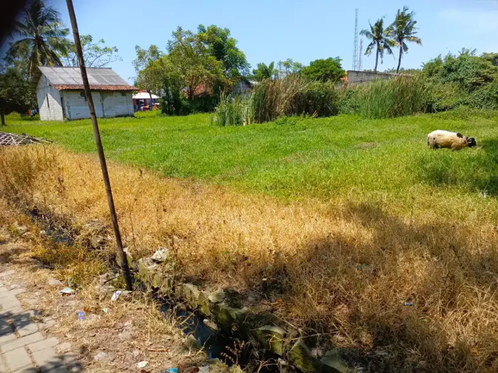 DI JUAL Tanah di jln. Kampung Sukabakti desa Lembang sari kec. Rajeg
