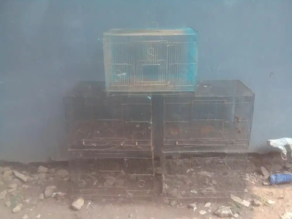 Kandang burung mulus