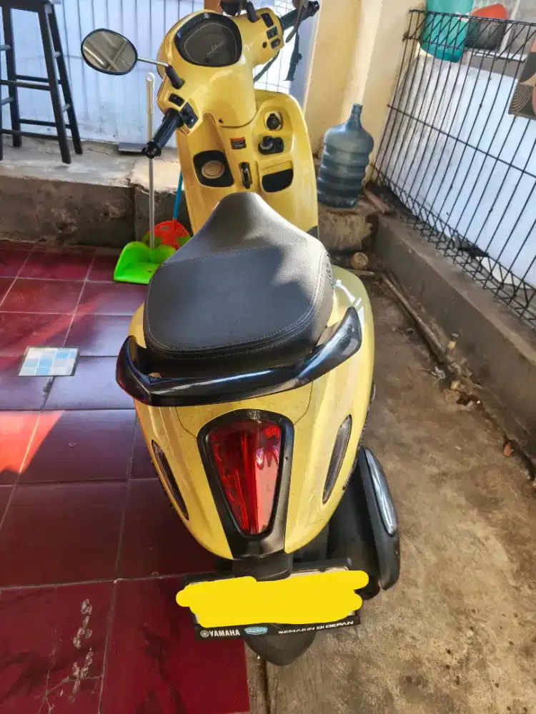 Filano Kuning 2024