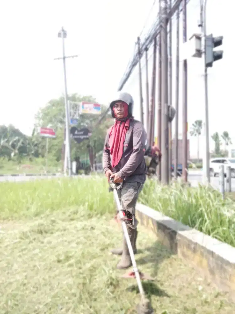 Jasa potong rumput taman rumah kebon dll
