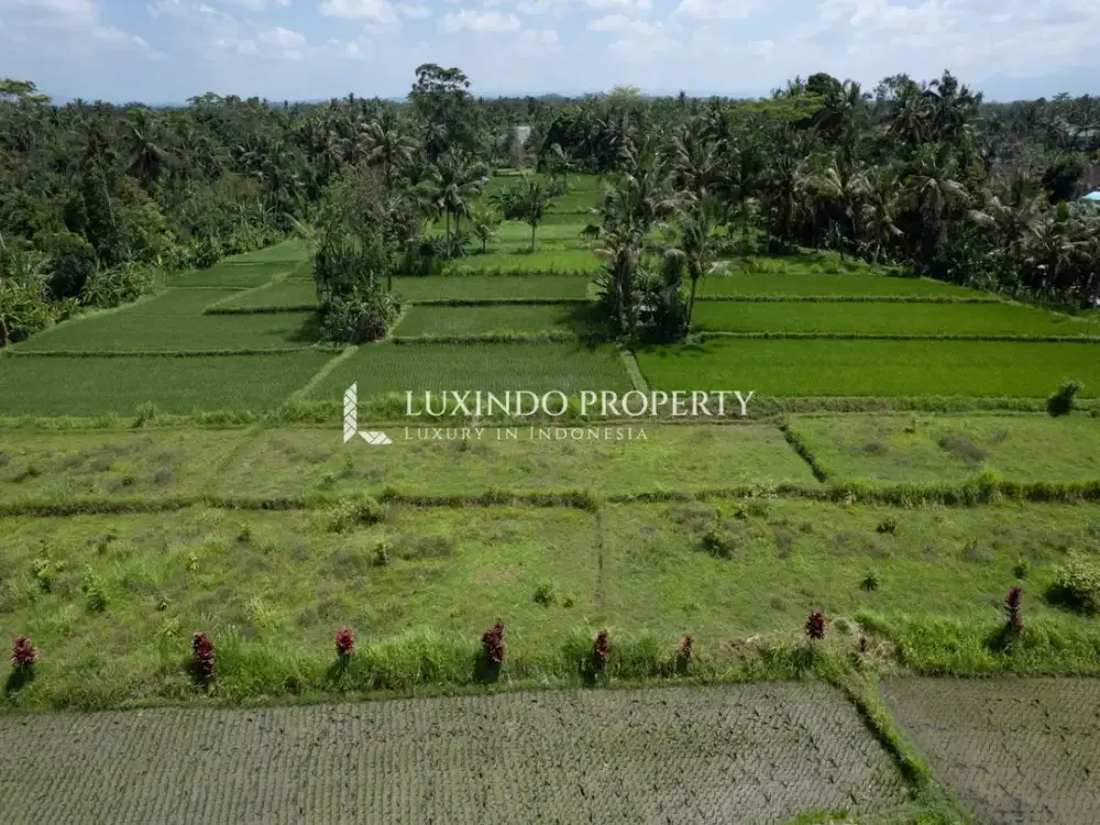 DISEWAKAN JANGKA PANJNAG TANAH 31 ARE DI PEJENG - Thumbnail 3