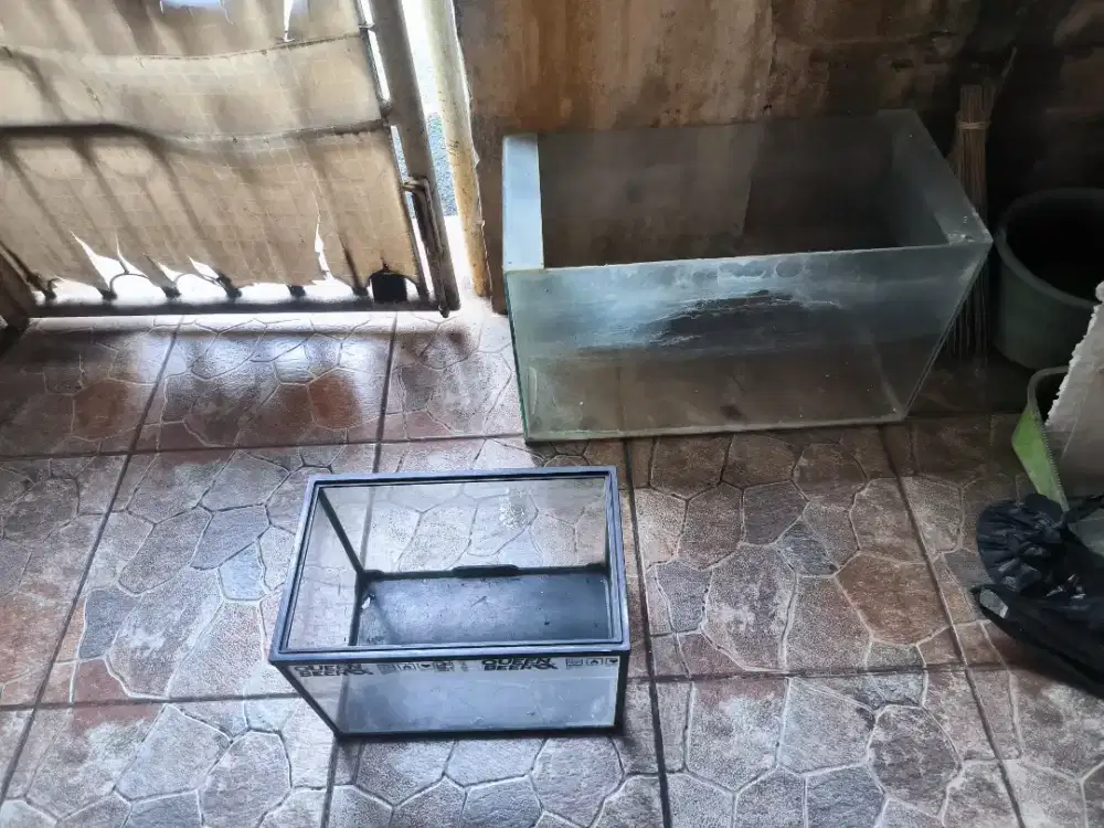 Aquarium 30×60, sama yang kecil