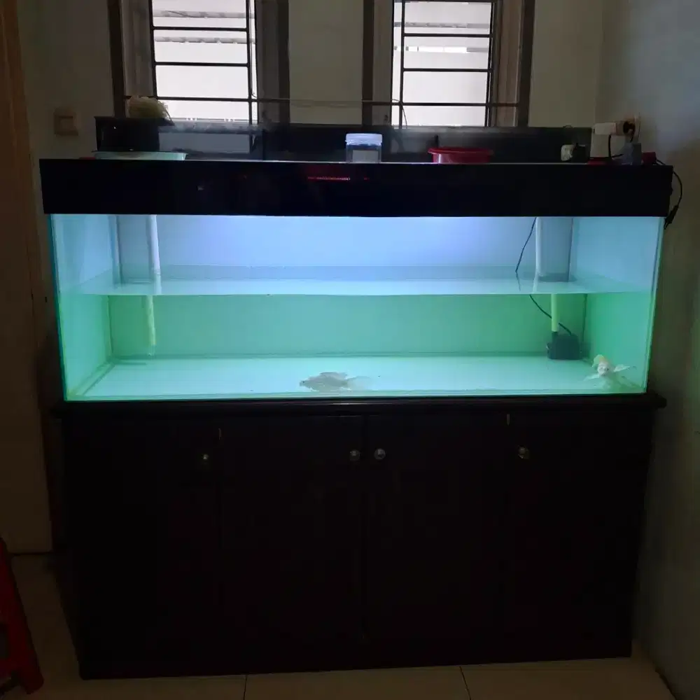 DIJUAL AKUARIUM BEKAS DENGAN LEMARI HPL