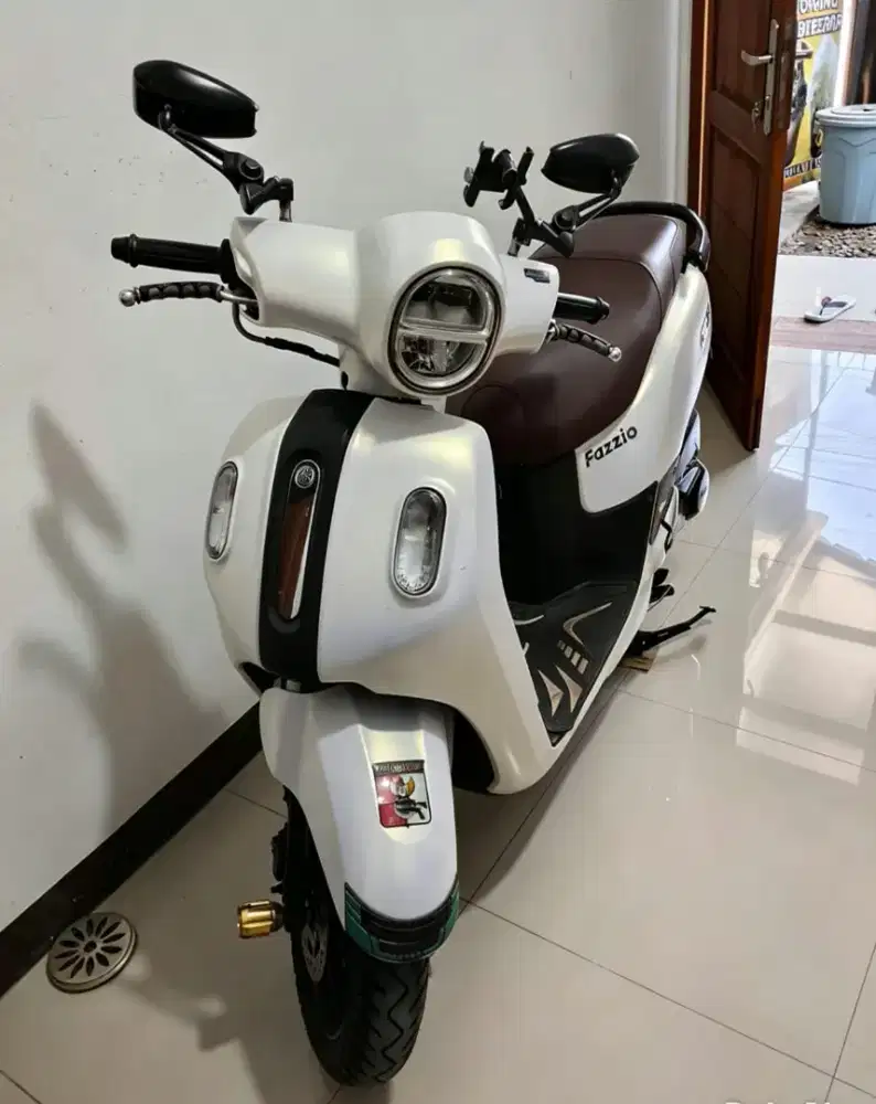 Fazzio Lux 2024