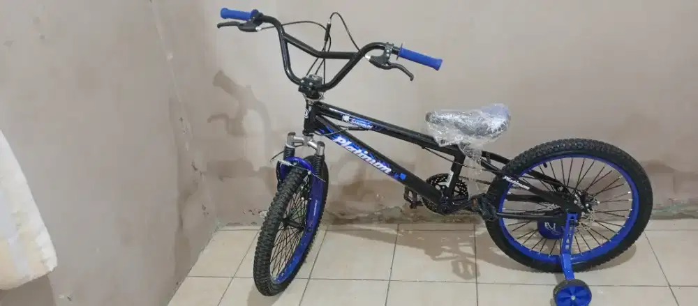 Sepeda anak uk 20 platinum