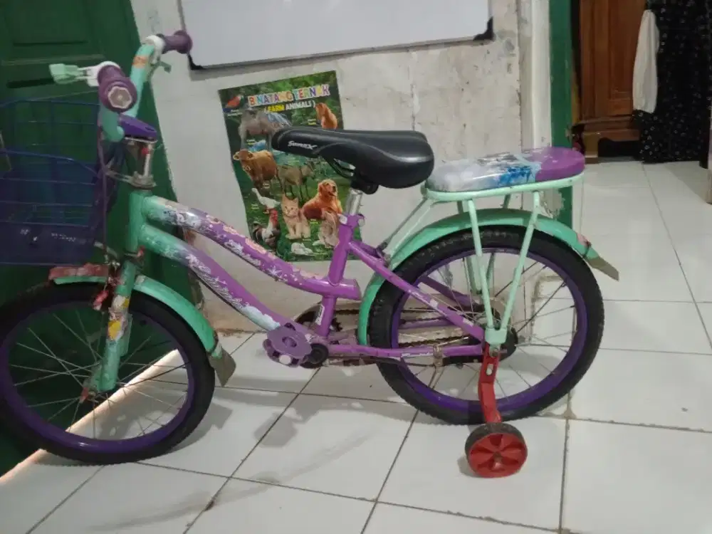 Sepeda anak perempuan